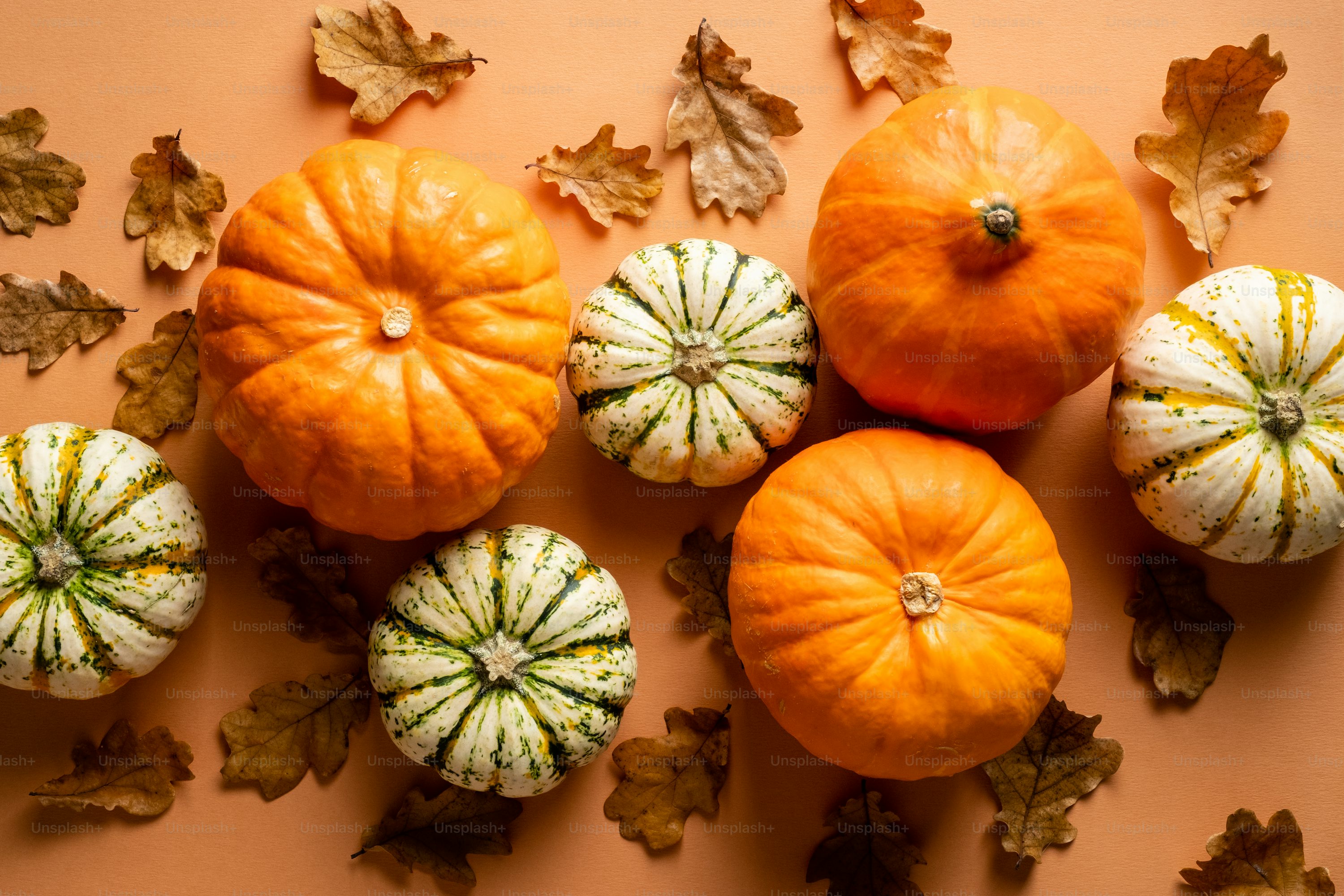 premium_photo-1661759393965-7f150a7abd0f.jpg - 894,21 kB